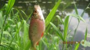 IMG_0165.JPG