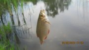IMG_0169.JPG