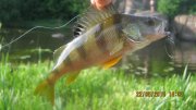 IMG_0170.JPG