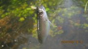 IMG_0171.JPG
