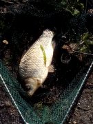 IMG_20150523_063109.jpg