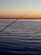 IMG_20150523_043013.jpg