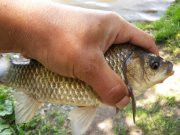 20150523_102824.jpg