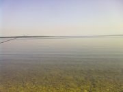 24052015784.jpg