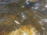 20150523_115439_Далекая ул.(0).jpg