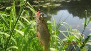 IMG_0180.JPG