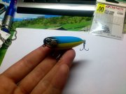DSC_0173.JPG