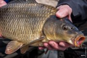 20150522_Fishing_Gorodyshche_049.jpg