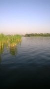 WP_20150526_002.jpg