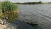 IMAG0256.jpg