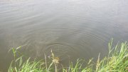 IMG_2717.jpg