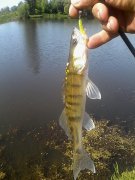 IMG_20150524_091924.jpg