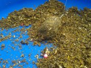 20150527_101730.jpg
