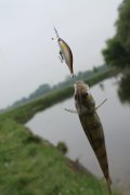 IMG_2540.JPG