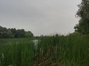 20150528_091218_HDR.jpg