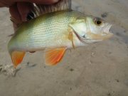 20150528_103128.jpg