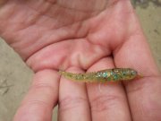 20150528_103656.jpg