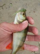 20150528_110622.jpg