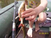 100_8434_thumb.jpg