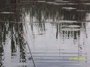 100_8439_thumb.jpg
