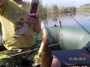 100_8454_thumb.jpg