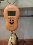 2015-05-30 12.38.jpg