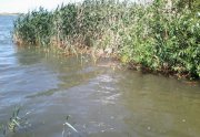 IMG_20150601_150611.jpg