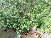 IMG_20150601_150623.jpg