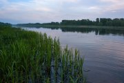 IMGP9383_resize.jpg