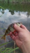 IMG_20150602_143614.jpg