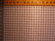 IMG_0203.JPG