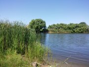 20150605_101628.jpg