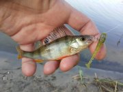 20150605_070644.jpg