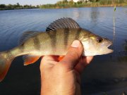 20150605_072307.jpg