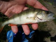 20150605_101625.jpg