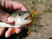 20150605_110413.jpg