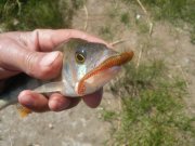 20150605_120250.jpg