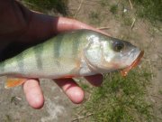 20150605_120257.jpg