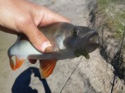 20150607_102739.jpg