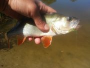 20150607_102745.jpg