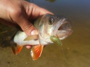 20150607_102752.jpg