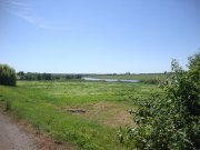 DSC05794.JPG