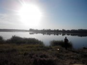 2015609062145.jpg