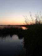 20150605_204000.jpg