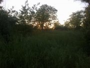 06062015764.jpg