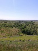 20150606_141734.jpg