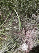 20150606_112632.jpg