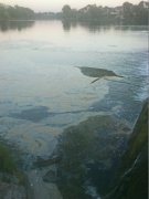 DSC_4620.jpg