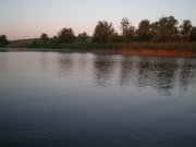 P6143182 [].JPG