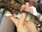 20150616_080345.jpg